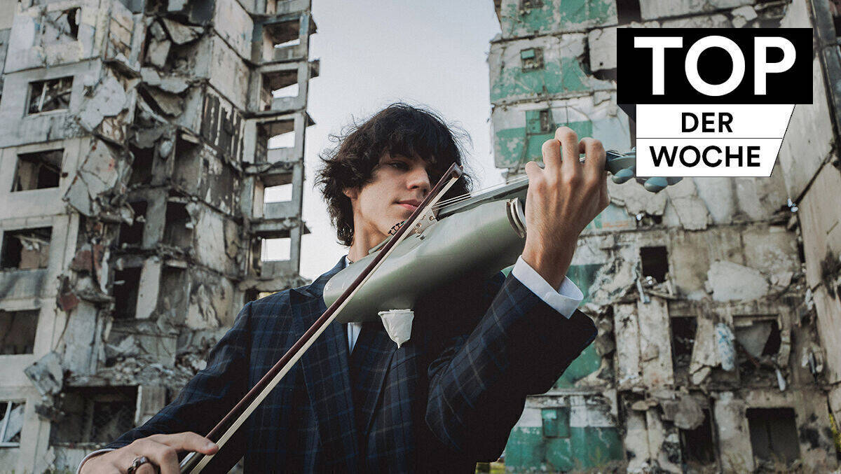 Die Violine besteht aus abgewrackten Waffenteilen.