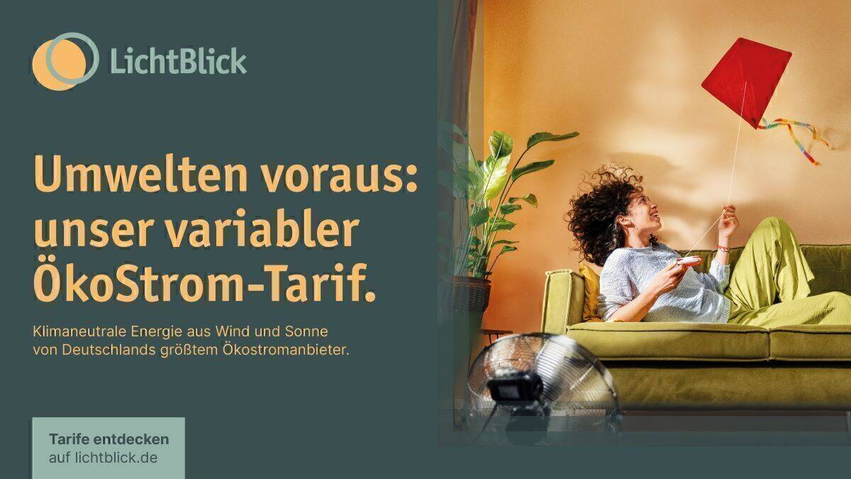 Ökostrom-Anbieter Lichtblick setzt auf nachhaltige Media und zeigt, dass Sustainability nicht beim Produkt aufhört.