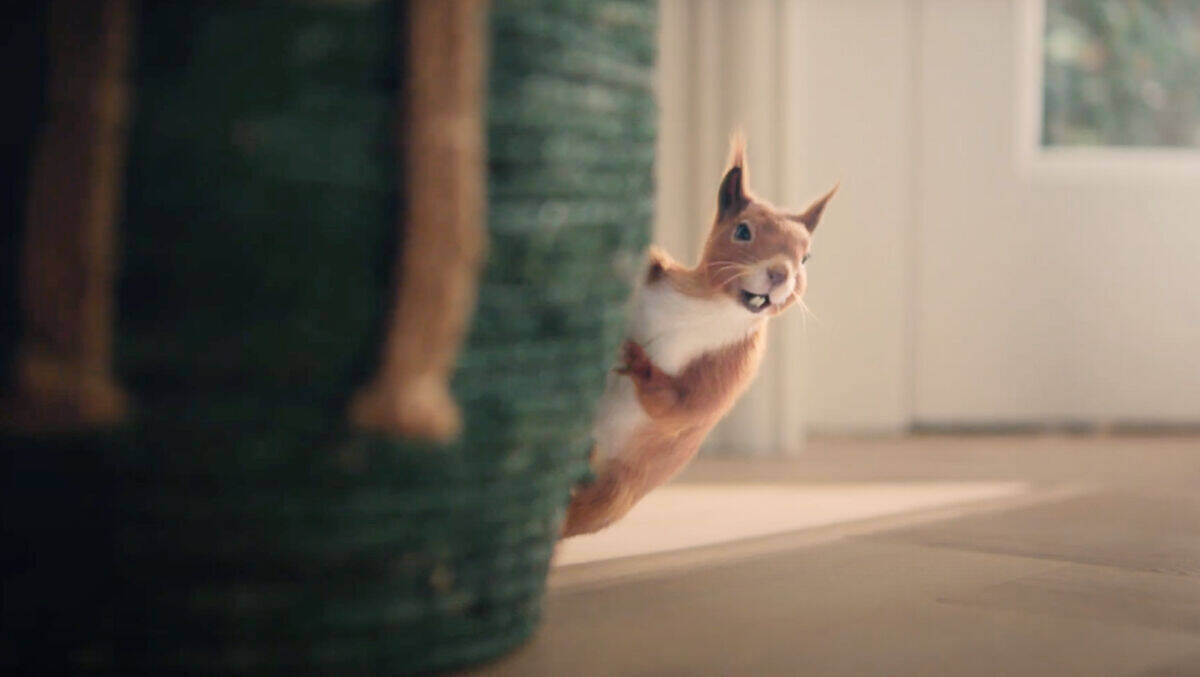 Air Wick setzt auf ein putziges Eichhörnchen