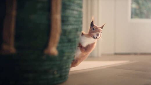 Air Wick setzt auf ein putziges Eichhörnchen