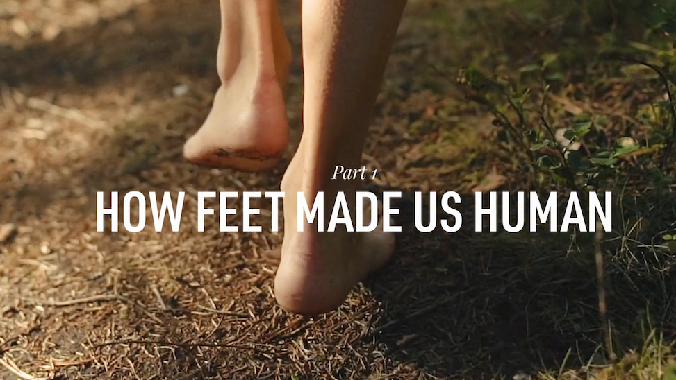 Fokus Fuß: In einer Minidoku wird die Rolle der Füße für unsere Evolution erklärt.