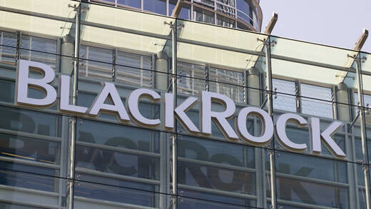 BlackRock dominiert Instagram und LinkedIn