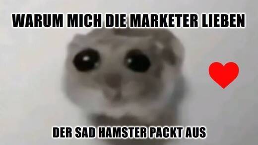 Traurig und erfolgreich: der "Sad Hamster" alias "Hamsti".