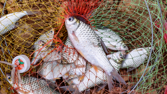 DEPOT, Warsteiner, Wüstenrot, TSG Hoffenheim, Hansgrohe und Beiersdorf suchen.