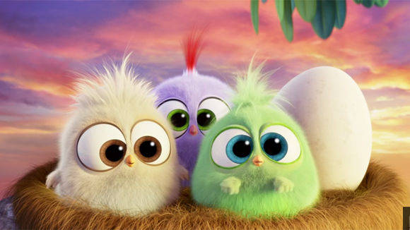 Ein Muttertags-Gruß von den "Angry Birds".