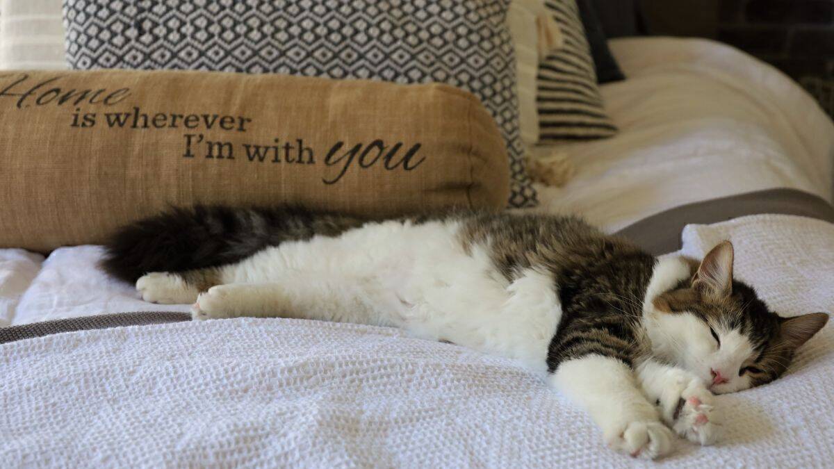 Die Stimmung ist wichtig für Werbeerinnerung und Call-to-action. 