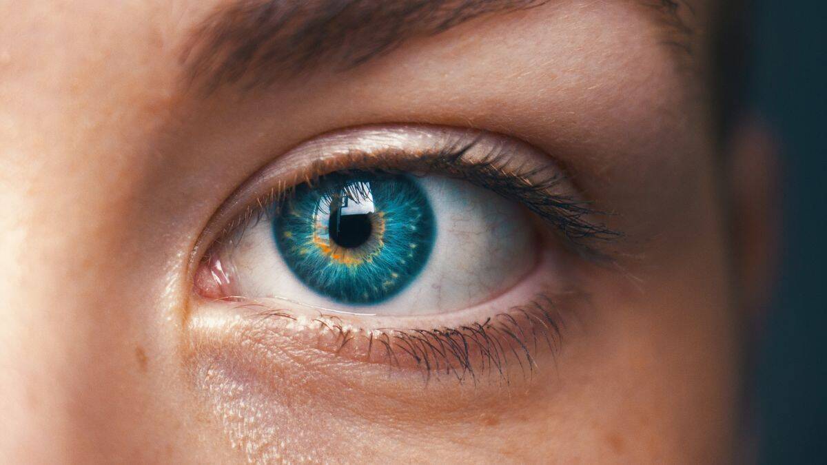 Die KI wird so trainiert, dass sie sich Marken und Muster merkt - und so abschätzen kann, wie gut ein Werbespot wirkt.