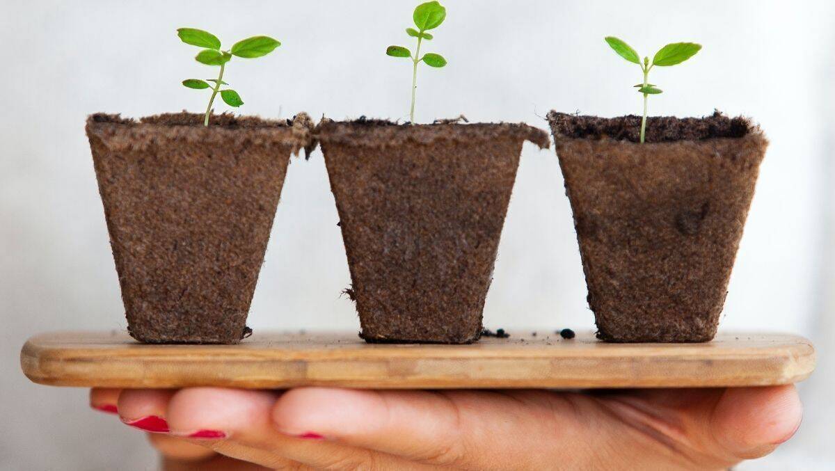 Von mehr als 1.000 genannten Lieblingsmarken sind gerade einmal fünf Prozent nachhaltig.