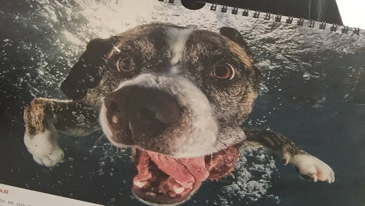 Was man nicht alles aufgrund der Meinung von Influencern kauft! Zum Beispiel diesen Kalender.