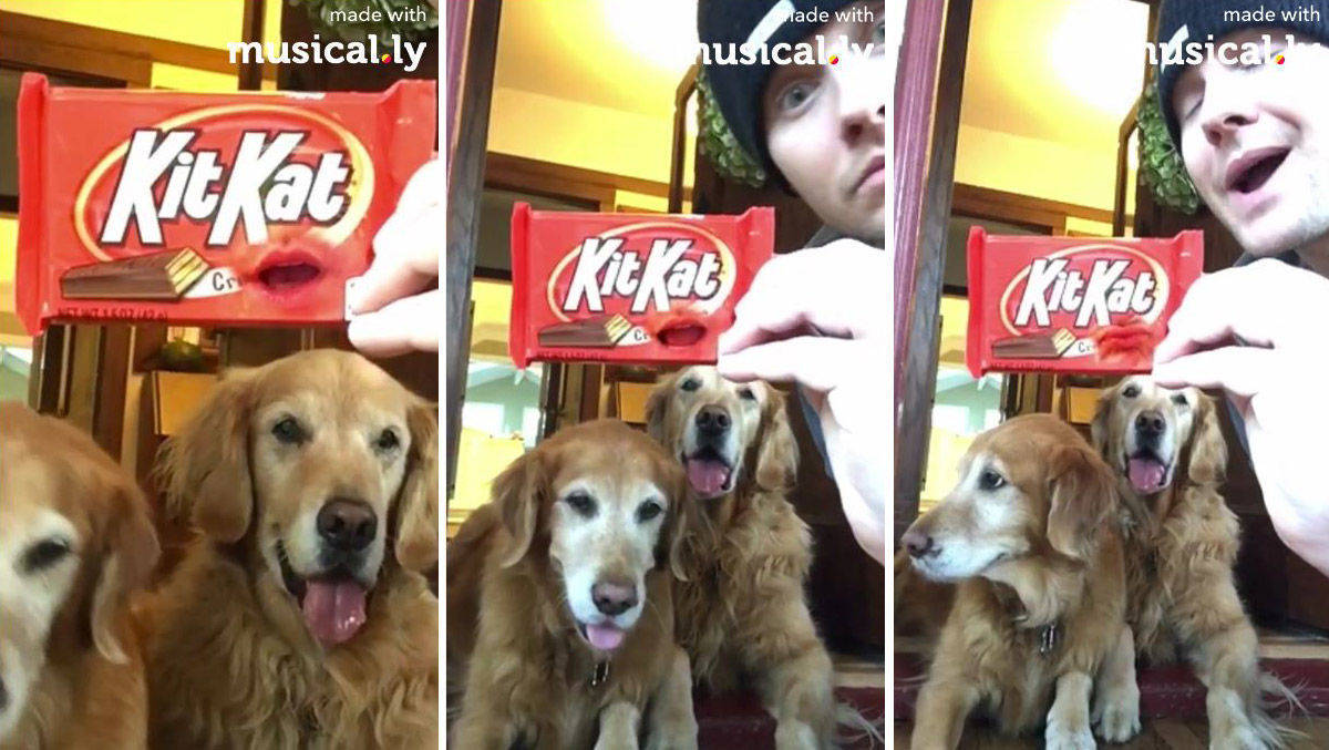 Influencer Bart Baker und sein Beitrag zur Kit-Kat-Challenge.