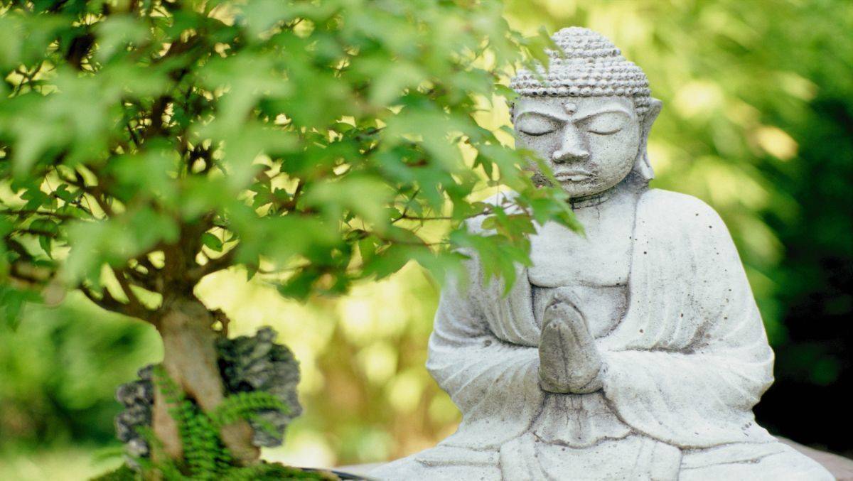 Für jüngere Zielgruppen bedeutet Wellness mehr als Schönheit.