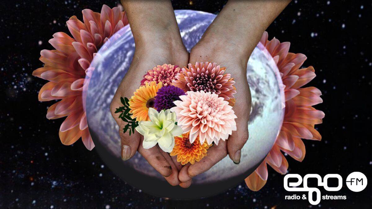 Klimaneutral dank Reduktion und Ausgleich.