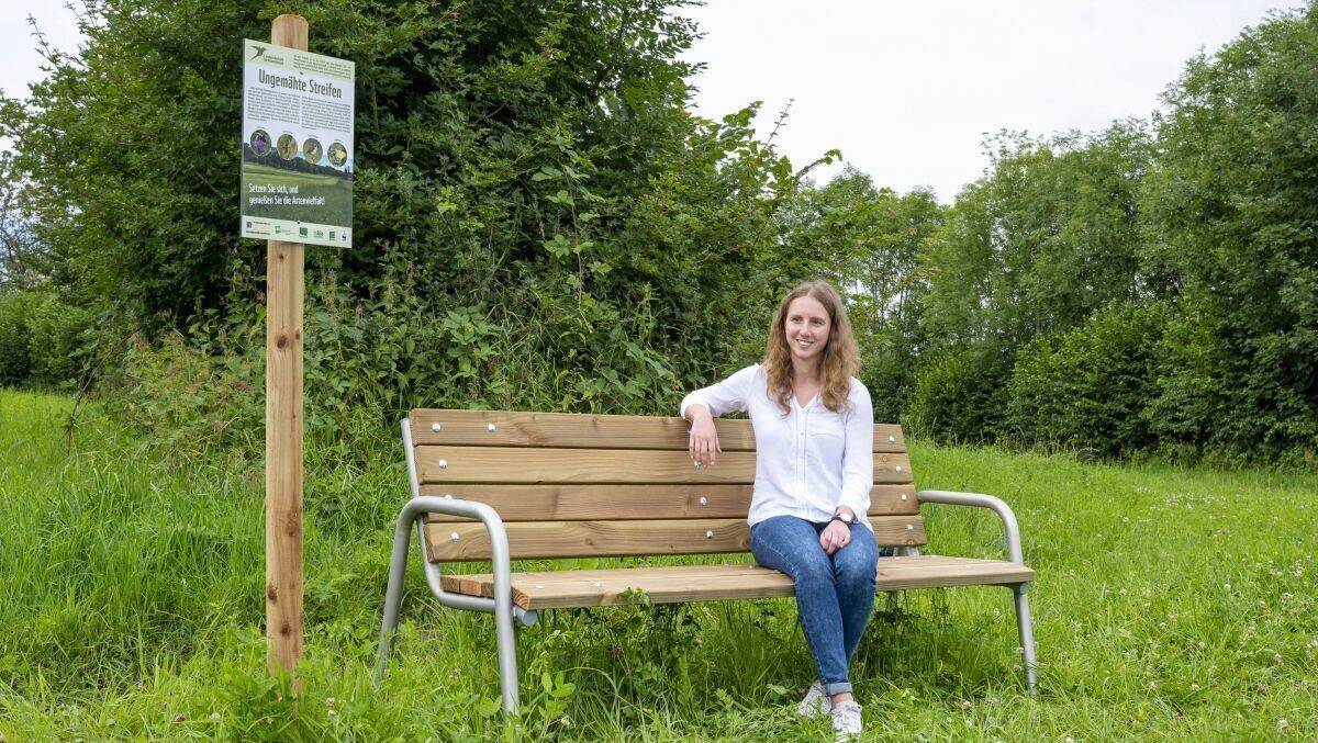 "Feldrandschilder" informieren kleine und große Entdecker über die Natur.