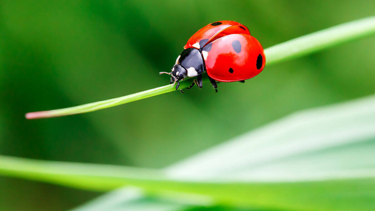 Mit kleinen Dingen anfangen.