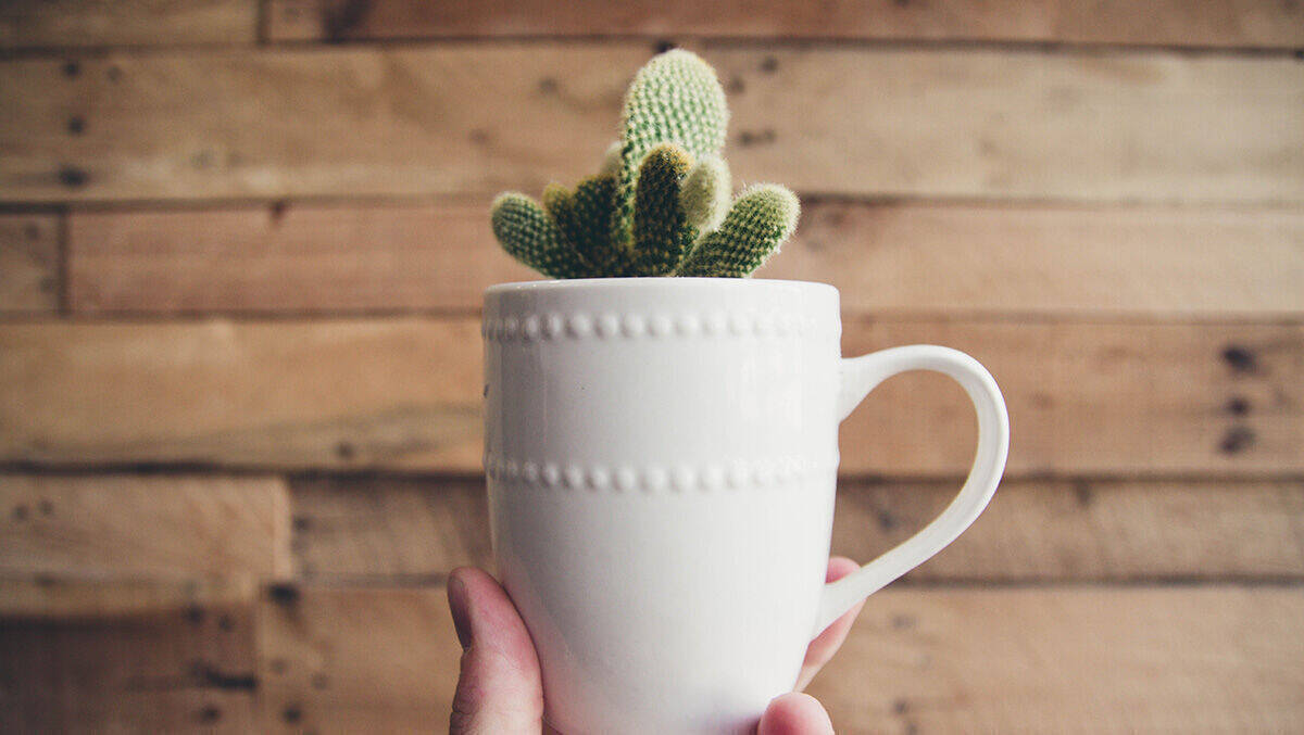 Ein Alleinstellungsmerkmal kann Nachhaltigkeit nur unter ganz bestimmten Voraussetzungen sein.