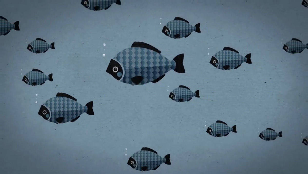 Followfish treibt eine ganze Branche vor sich her