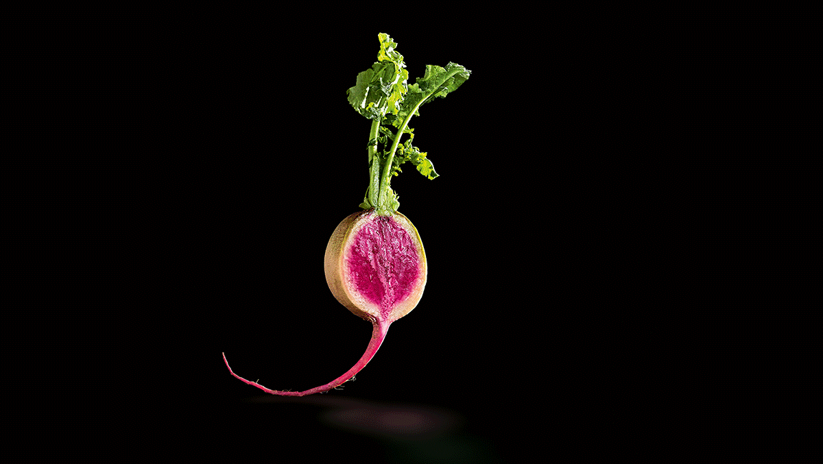 Mit einer modernen Bildsprache stellt sich Wüsthof neu auf
